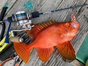 【BEST20】釣り用品で売れ筋の人気おすすめアイテムランキング!