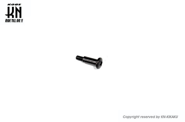 Air Cleaner Box Bolt, 1 pc. for Cygnus X (1st, 2nd, and 3rd Generation)