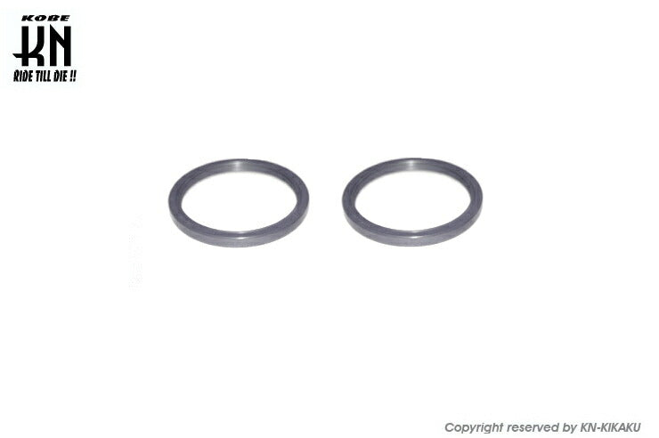 Torque Cam Repair Oil Seal (for RL-02/RL-03/7003-13-A-OP) - 2 Seals