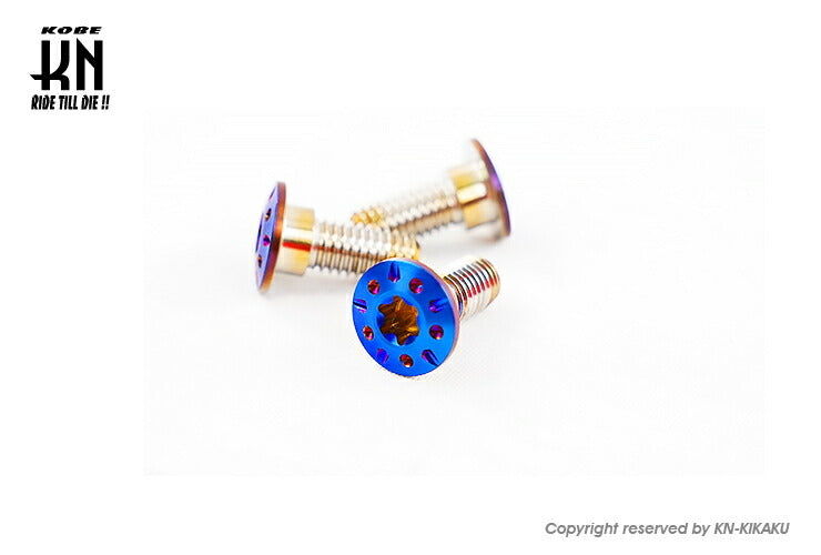 ブレーキディスク ステンボルト ブルーチタンルック 3本入 シグナスグリファス 6型 NMAX BWS125(3型)