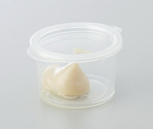 フロントフォークグリス 2g