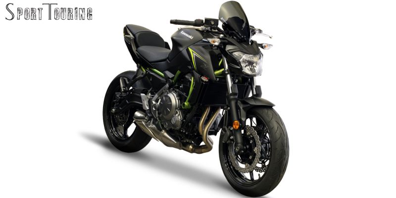 Screen Sports Touring Smoke Z650