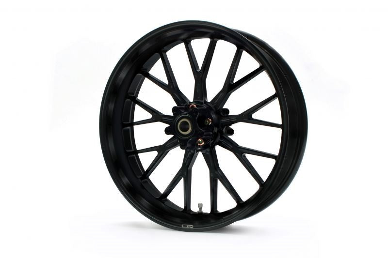 アルミ鍛造ホイール S18 フロント F250-19 アルマイトブラック ダブルディスク スポーツスター XL1200CX