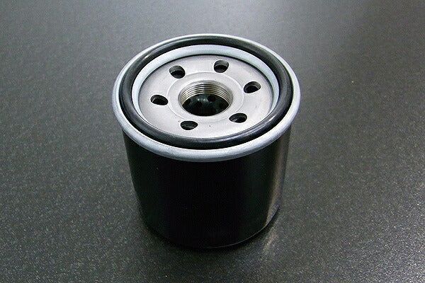 Oil Filter Suzuki Burgman 650