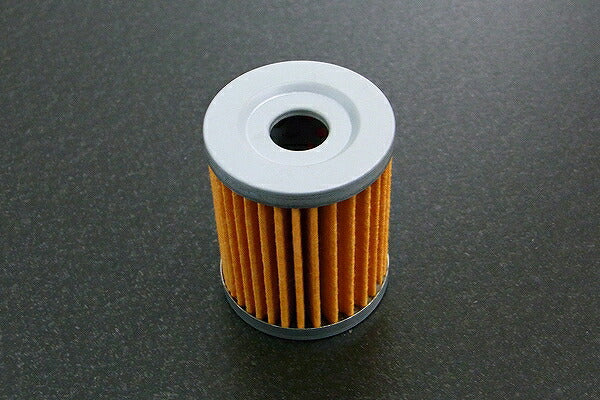 Oil Filter Kawasaki 250TR