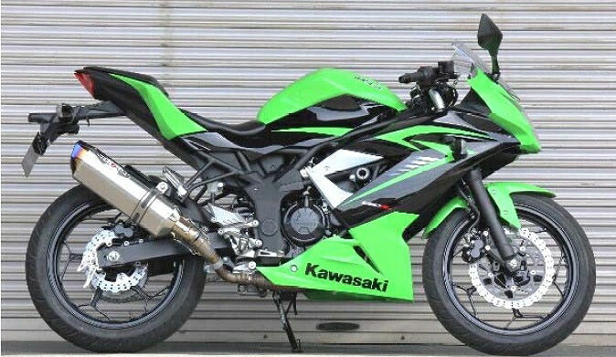 NINJA 250SL Exhaust NASSERT EVOLUTION TYPE2 Slip-on Muffler Titanium/Clear Titanium NINJA250SL