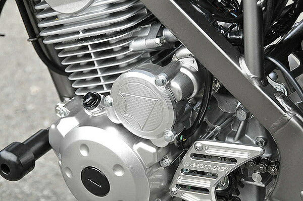 Starter Cover Silver D-TRACKER125