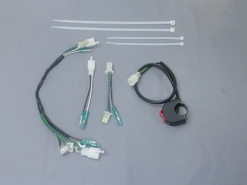レーシングSPハーネスキット シーソータイプキルスイッチ付 NSR50