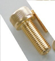 24K Gold Plated Stainless Steel Cap Bolts M6x35 2pcs
