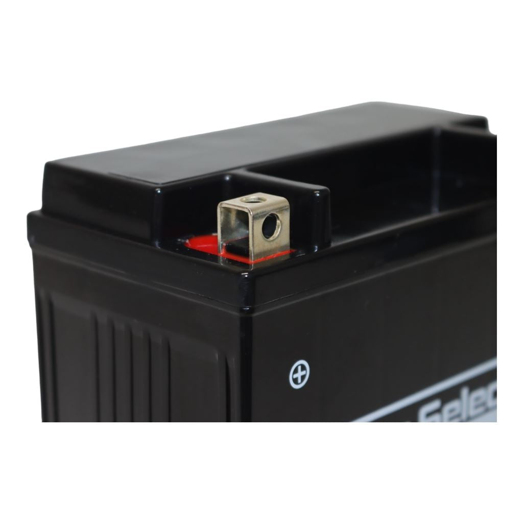 GL-PTX14-BS ナノ・ジェルバッテリー(YTX14-BS互換) 液入充電済 ジェルタイプ X14 1個