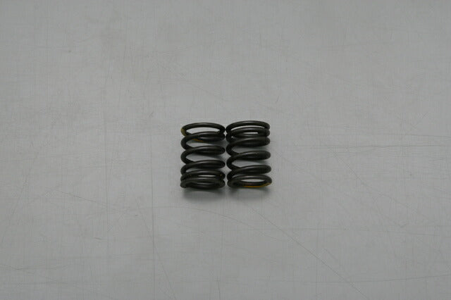 Valve Spring Set / (25593) Limiter Cut Repair Parts Monkey