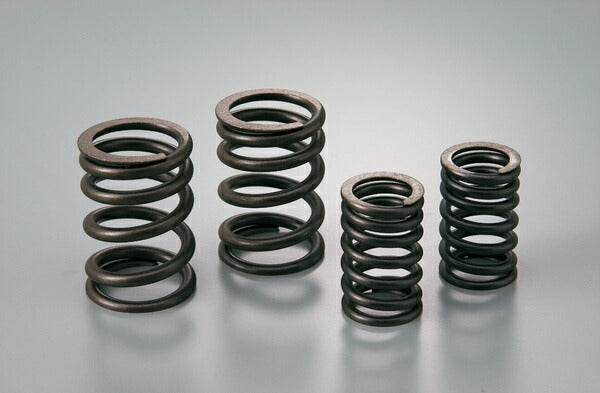 Reinforced Valve Spring Set / APE50/100 / XR50/100 Motard