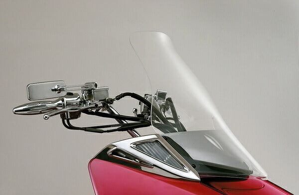 Long Windshield for MAXAM