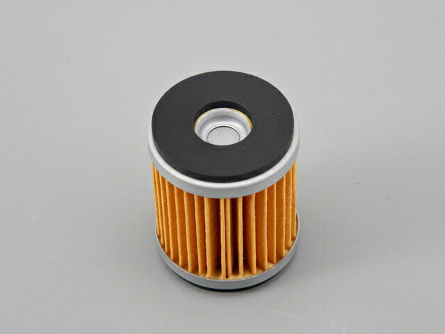 Oil Filter Internal Type / Majesty 250 (09-11) 4D91 / WR250R/X (07-12)