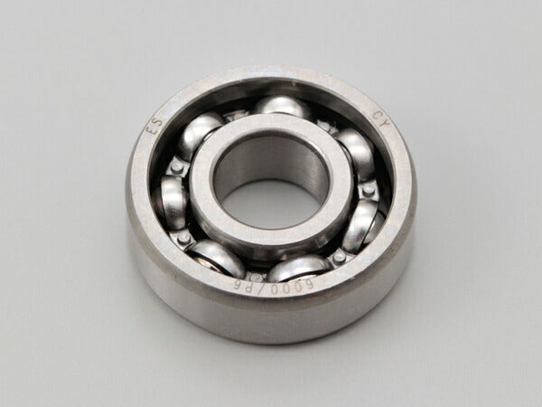 Ball Bearing 6000