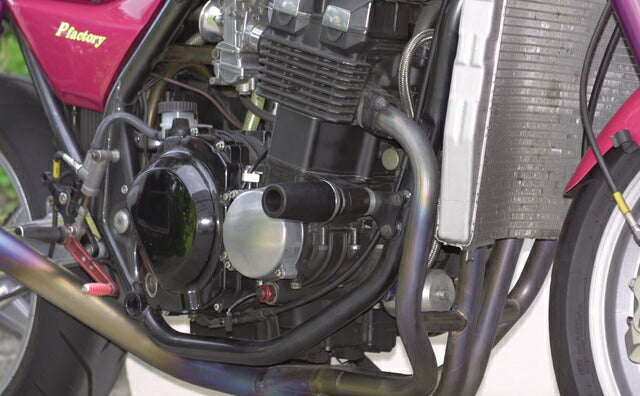 Engine Protectors ZRX400 (-07)