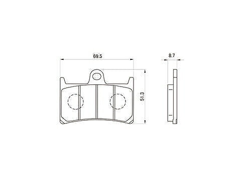 Daytona 66763 Golden Pad X Brake Pads Front MT09
