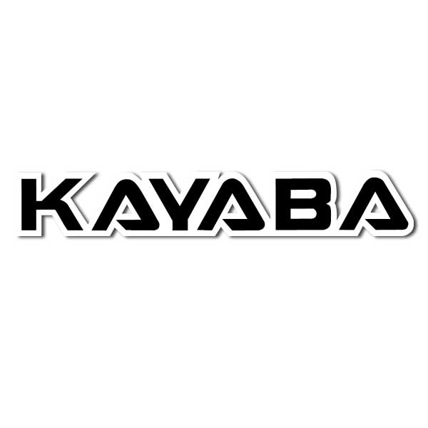 Fork/Swingarm Decal KYB Black