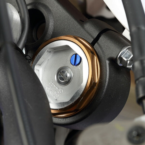 フロントフォークエアーバルブスクリュー ブルー M5 P=0.8 2個 SHOWA KYB