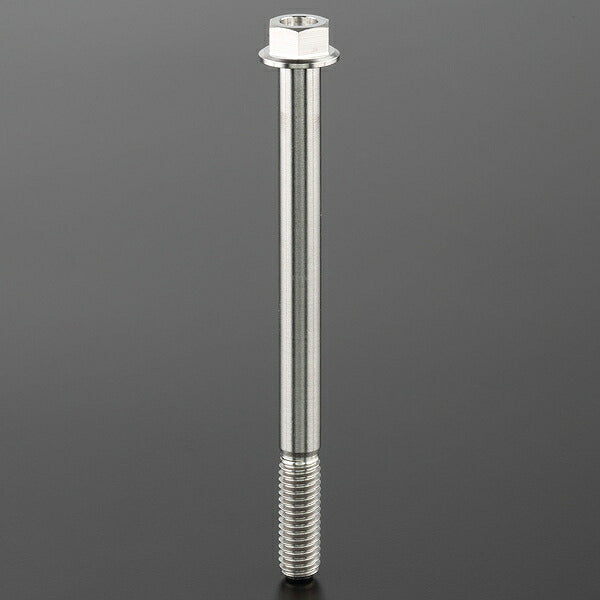 Z-Titan Flange Bolt M6 P1.0, 1 piece, 90mm