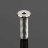 チタンキャップボルト エクストラローヘッド M6 P=1.0 20mm 1本入り