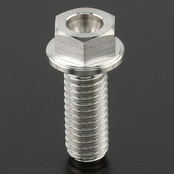 Z-Titan Brake Disc Bolt each φ6 M6x16 HEX S