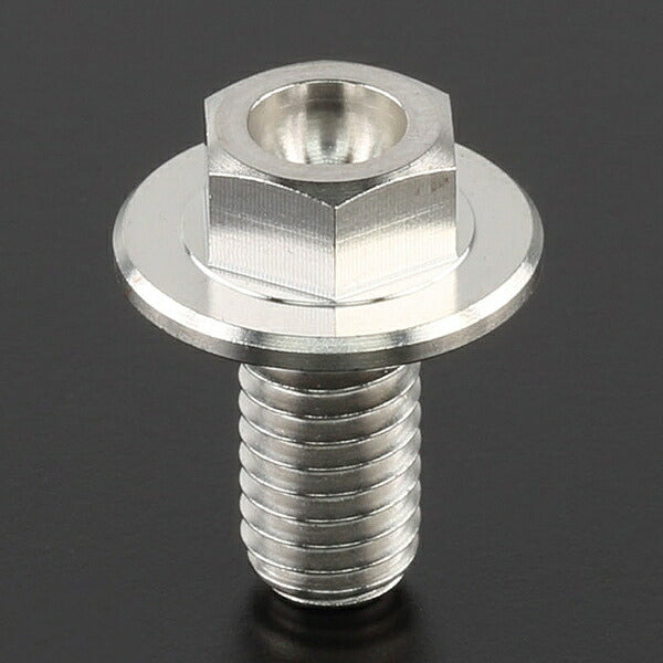 Z-Titan Brake Disc Bolts, each φ6 M6x12.5 HEX L
