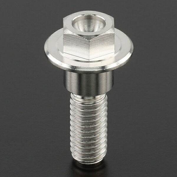 Z-Titan Brake Disc Bolt each φ8 M6x20 HEX