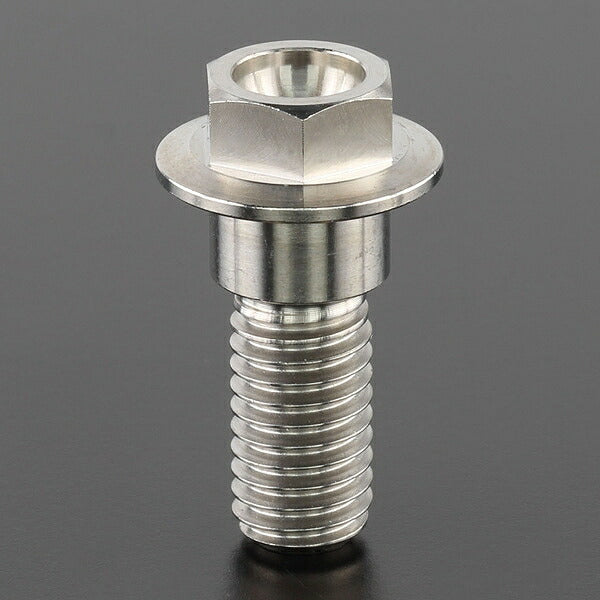 Z-Titan Brake Disc Bolt each φ10 M8x28 HEX