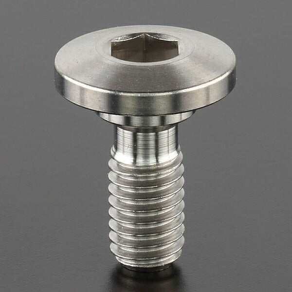 Z-Titan Brake Disc Bolts each φ8 M6x15 ThinHead