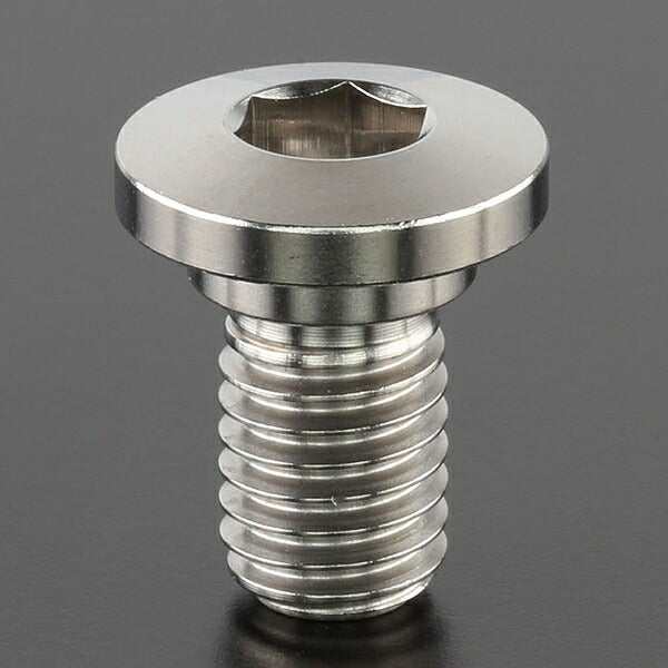 Z-Titan Brake Disc Bolt each φ10 M8x14.5 ThinHead