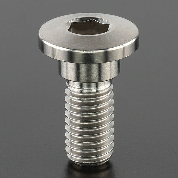 Z-チタン ブレーキディスクボルト each φ10 M8x20 ThinHead