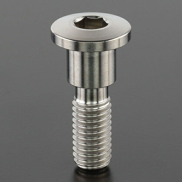 Z-Titan Brake Disc Bolts, each φ10 M8x28 ThinHead
