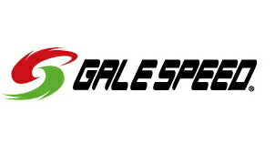 リアホイール TYPE-GP1S Gコート ソリッドホワイト 600-17 1本入 Z1000 03-06/ZX-9R 00-03