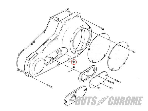 Primary Drain O-Ring 04-UP Dyna