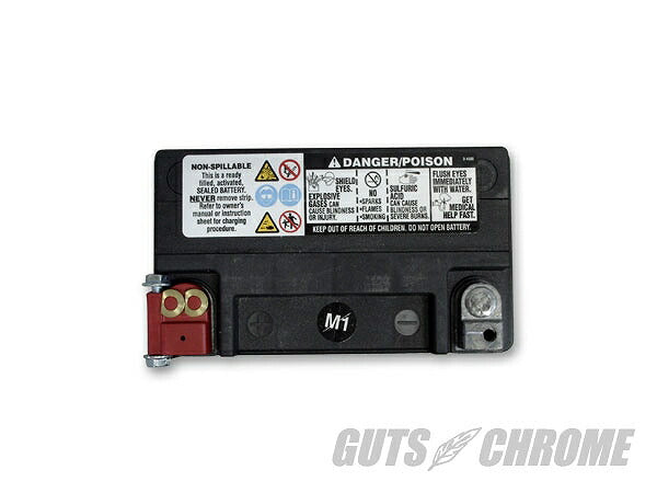 WCP20 バッテリー 液入充電済 79-96XL84-90ソフテイル他