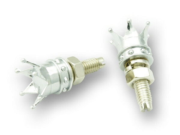 クラウン ライセンスボルトセット クローム