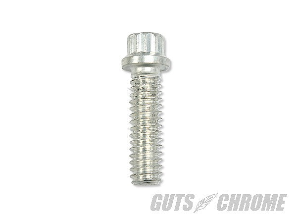 V-TWIN Tappet Block Screw Kit Cadmium 1/4-20 Big Twin