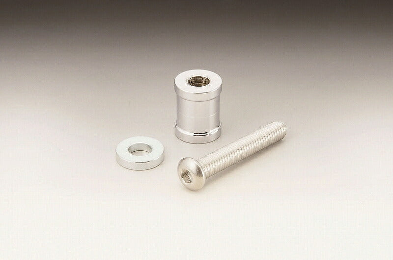 Docking Bolt Set Back Support DHW Softail (03-15)