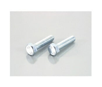 Hex bolt (zinc plated) 4X10XP0.7 2pcs