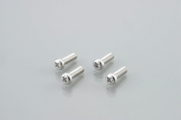 ウインカー\U0026テール用ビス 十字穴/ナベコネジ (ステンレス) 4X55XP0.7 2個