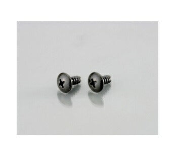 ウインカー\U0026ボディ用ビス(十字穴/トラス/2種)黒色クロメート 4X10 2個