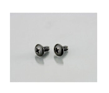 ウインカー\U0026ボディ用ビス(十字穴/トラス/2種)黒色クロメート 4X12 2個