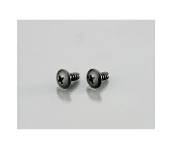 ウインカー\U0026ボディ用ビス(十字穴/トラス/2種)黒色クロメート 4X16 2個