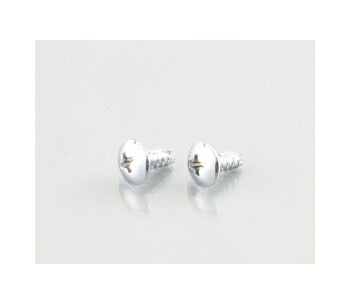 ウインカー\U0026ボディ用ビス(十字穴/トラス/2種)シルバークロームメッキ 4X10 2個