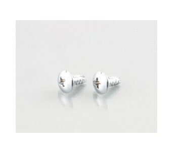 ウインカー\U0026ボディ用ビス(十字穴/トラス/2種)シルバークロームメッキ 4X12 2個