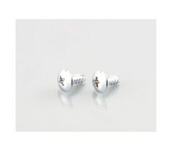 ウインカー\U0026ボディ用ビス(十字穴/トラス/2種)シルバークロームメッキ 4X14 2個