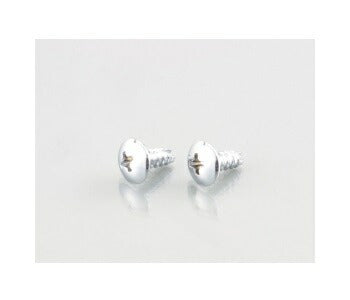 ウインカー\U0026ボディ用ビス(十字穴/トラス/2種)シルバークロームメッキ 4X16 2個