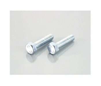 Hex Bolt (Unichrome) 5x30XP0.8 2pcs