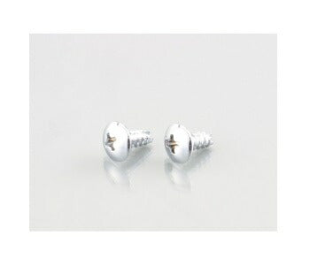 ウインカー\U0026ボディ用ビス(十字穴/トラス/2種)シルバークロームメッキ 5X12 2個